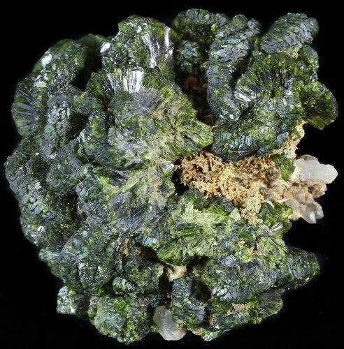 Lustrous, Epidote Crystal Cluster - Morocco #49414